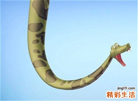 梦见别人打蛇有什么预兆，做梦梦到好几个人一起打蛇