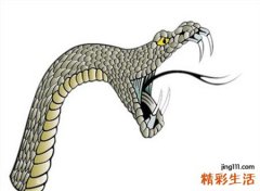 已婚女人梦见蛇好不好，已婚女人梦见蛇是胎梦吗