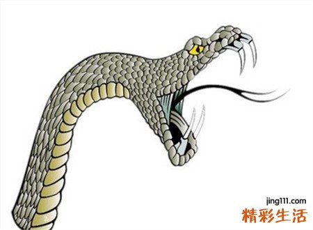 已婚女人梦见蛇好不好，已婚女人梦见蛇是胎梦吗