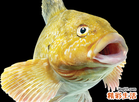 梦见吃鱼有什么预兆，做梦梦到自己吃熟鱼