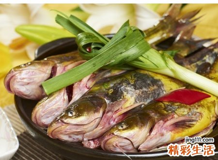 梦见许多鱼有什么预兆，做梦梦到自己用手抓到鱼