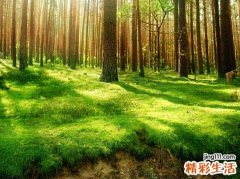梦见亲人病危有什么预兆，梦到老人病危即将去世