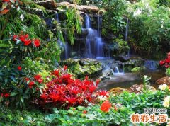 梦见流血是什么意思，做梦梦到自己出大量血