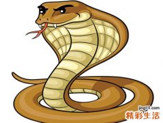 梦见蛇吃鱼有什么预兆，女人梦见蛇吃鱼