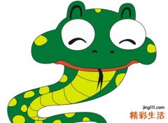 孕妇梦见蛇有什么寓意，孕妇梦见又粗又大的蛇