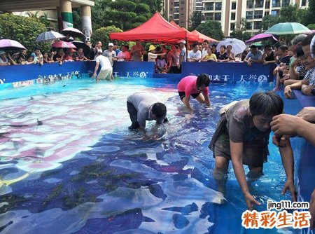 梦见抓鱼预示什么,做梦梦到好多鱼自己在抓鱼