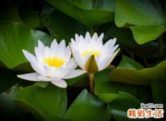 qq诗意网名，最新好听的qq诗意昵称