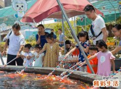 梦见捞鱼好不好，已婚女人梦见捞鱼