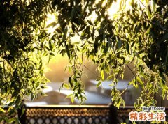 梦见杀人流血预示什么，做梦梦到打死人流血了