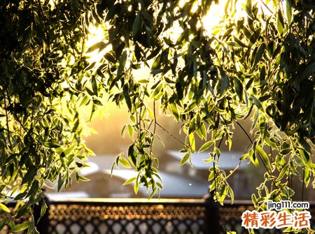 梦见杀人流血预示什么，做梦梦到打死人流血了