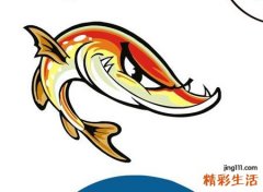 梦见别人买鱼好不好，做梦梦到看着别人买鱼