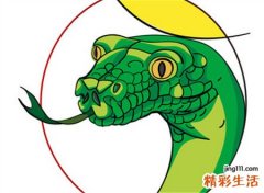 梦见蛇吃鱼好不好，做梦梦到蛇把鱼吞到肚子里