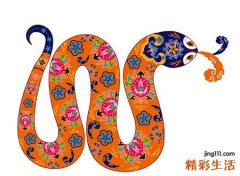 梦见很多蛇有什么寓意，女人梦见满地都是蛇