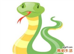 梦见蛇咬人是什么意思，女人梦见蛇把别人咬了