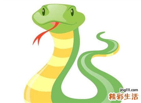 梦见蛇咬人是什么意思，女人梦见蛇把别人咬了