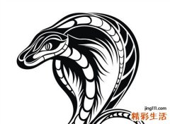 男人梦见蛇好不好，男人梦见白蛇