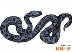 女人梦见蛇有什么寓意，为什么梦见蛇就怀孕了