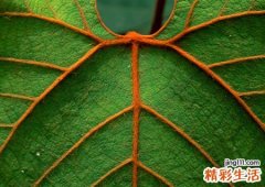 qq符号网名，最新好听的qq符号昵称