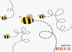 梦见蜜蜂好吗，做梦梦到蜜蜂钻进裤裆还蛰了我