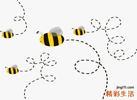 梦见蜜蜂好吗，做梦梦到蜜蜂钻进裤裆还蛰了我