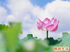 6字网名，最新好听的6字昵称