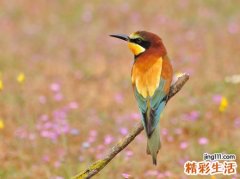 7字网名，最新好听的7字昵称