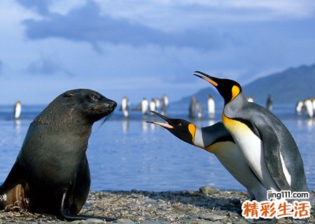 8个字的网名，最新好听的8个字昵称