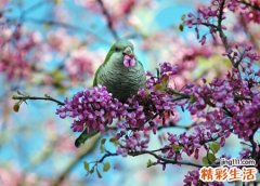 8字网名，最新好听的8字昵称