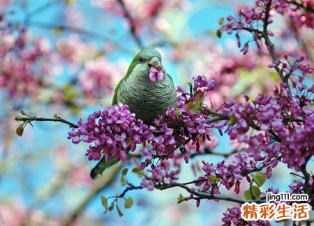 8字网名，最新好听的8字昵称