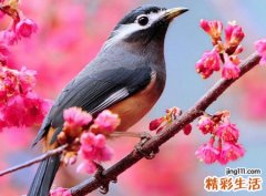 6个字的游戏名字，最新好听的游戏网名大全