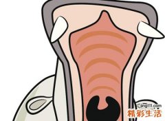 梦见下牙掉了预示什么，做梦梦到下牙掉了好几个