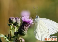 6个字网名，最新好听的6个字昵称