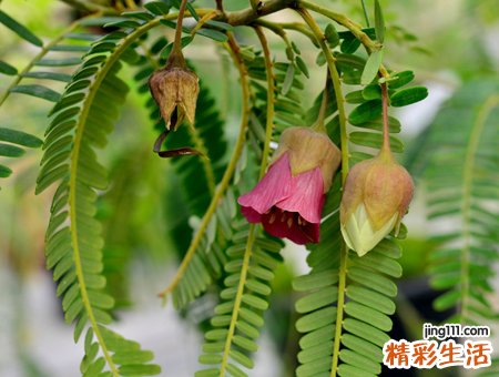 唯美名字，最新好听的唯美网名