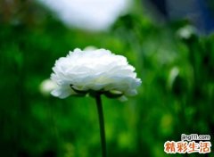 好听又有内涵的群名，经典流行qq群名字