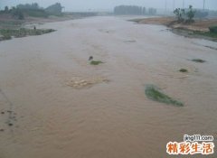 梦见浑水是什么意思，做梦梦到发黄的浑浊水