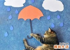 梦见淋雨预示什么，做梦梦到淋雨奔跑
