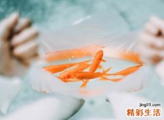 独一无二的超拽群昵称，好听的qq群个性网名