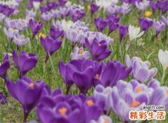 充满回忆的人生感悟昵称，回忆曾经美好的歌词网名