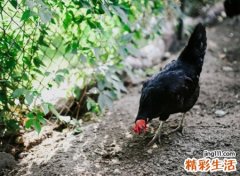 激励自己努力奋斗的阳光昵称，励志网名满满的正能量