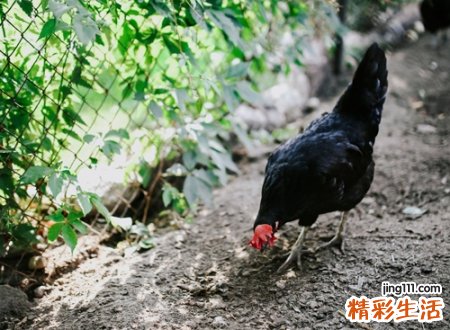 激励自己努力奋斗的阳光昵称，励志网名满满的正能量
