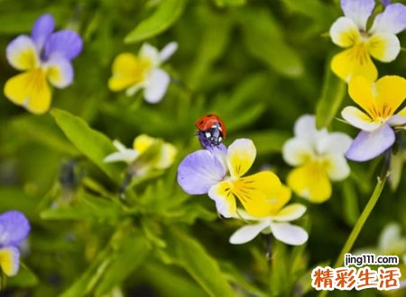 经典个性时尚的微信网名大全，颇有深意的微信昵称