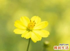 独一无二优雅快手网名，2020快手超级火爆昵称