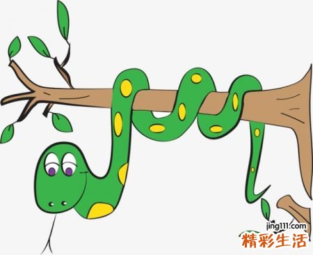 梦见蛇啥意思，做梦梦到蛇咬猫
