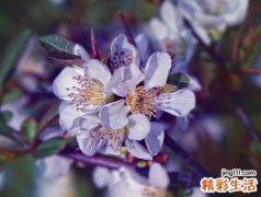 梦见死人是什么意思，做梦梦到不认识的死尸