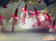 最火容易涨粉的快手名字，不常见不重名的快手独特网名