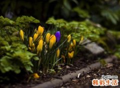 高雅成熟有内涵的微信网名，好听有含义的微信昵称