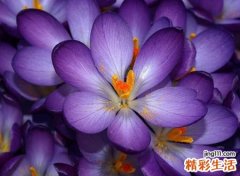 高端洋气小清新的干净昵称，伤感网名青春散场不诉离殇