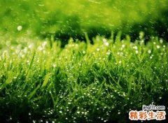 追求梦想绝不放弃的励志昵称，激励自己奋斗的网名