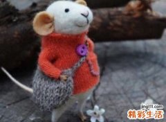 梦见死老鼠好不好，做梦梦到地上很多死老鼠