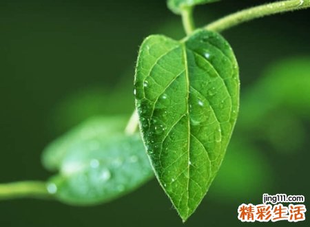 简短有趣的个性昵称，幽默有内涵敞亮的微信名字